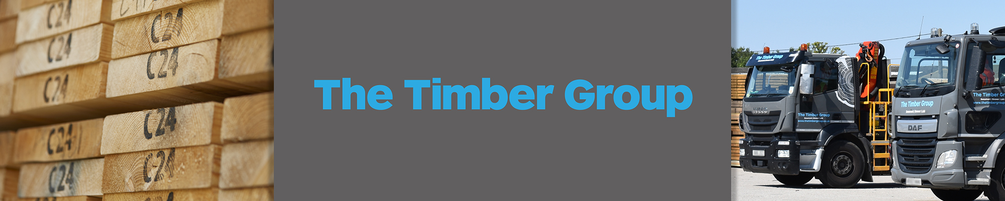 About The Timber Group